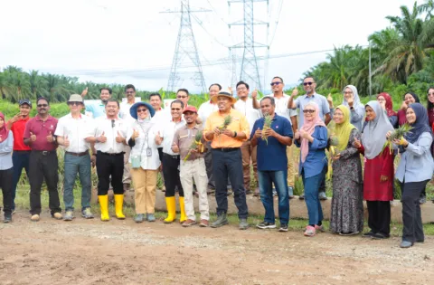 Majlis-Penanaman-Nenas-2.png