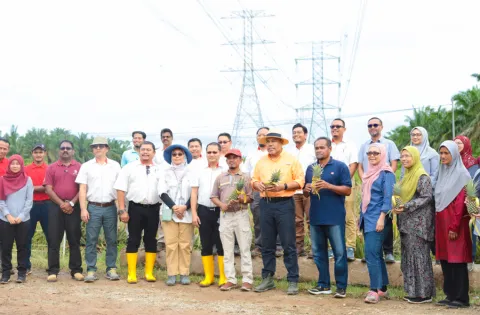 Majlis-Penanaman-Nenas-3.png