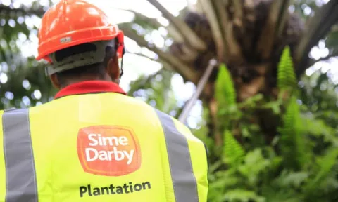 Sime Darby Plantation Claims Accusations Are "Absolutely False"